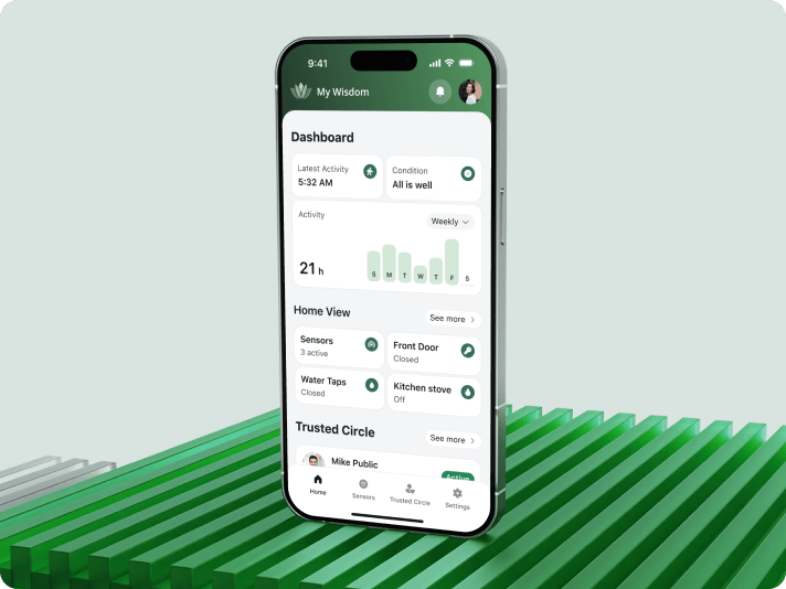 MyWisdom &mdash; a digital platform for safer, more connected aging - image cover