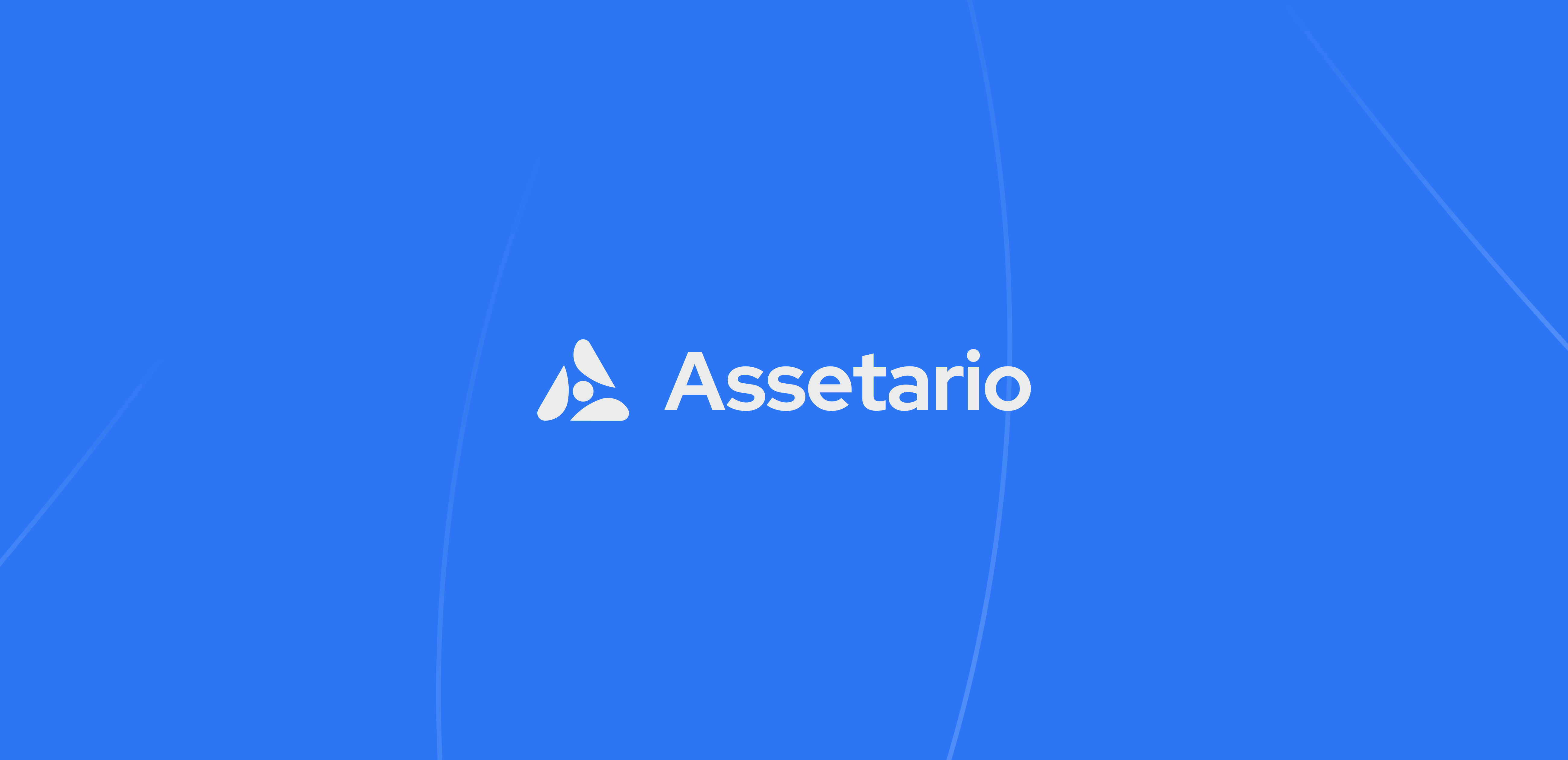 Assetario &ndash; branding for the SaaS platform - Website Development - Photo 4