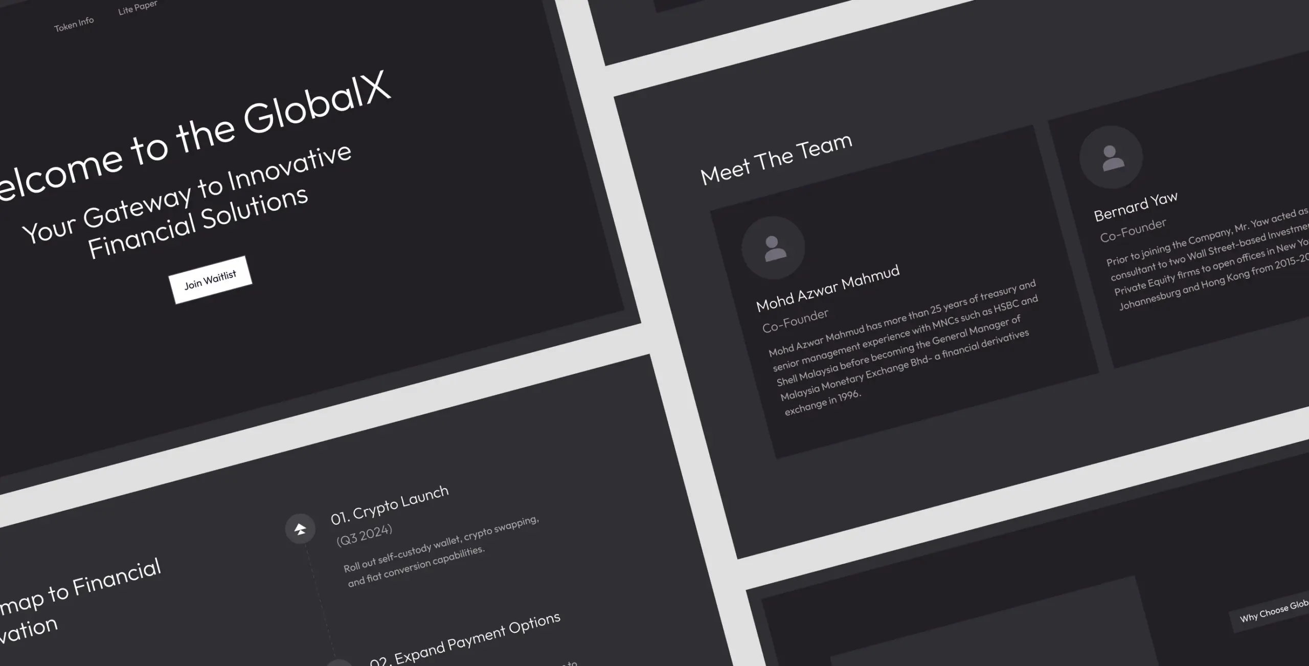 GlobalX &ndash; promo website for DEX - Website Development - Photo 6