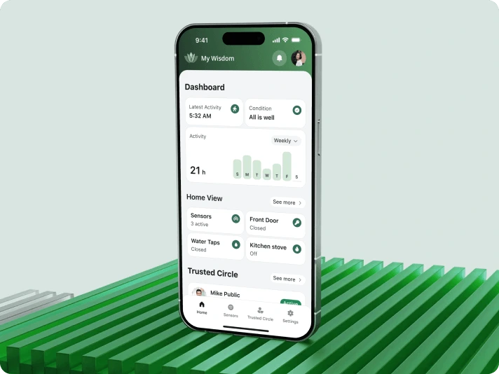 MyWisdom &mdash; a digital platform for safer, more connected aging - image cover